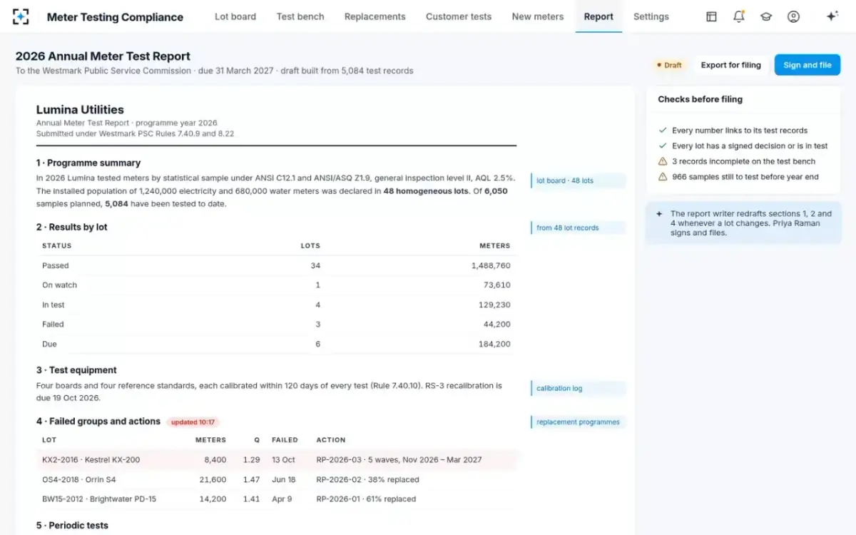 Meter Testing Compliance — The annual meter test report